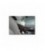 BRACCIOLO LX NERO FIAT PANDA III 18-/LANCIA YPSILON 11-