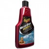 PULITORE E RIMUOVI ACQUA WATER SPOT REMOVER