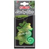 LUCKY STAR "PINE"