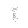 KIT LAMPADINE A LED 9-32V (H1) 16W