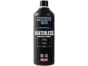 WATERLESS DUAL LAVAGGIO SENZ'ACQUA 1000 ML
