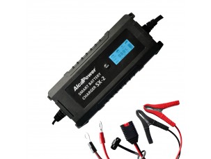 CARICABATTERIA SMART 10A 12/24V 4-240Ah LiFePO4